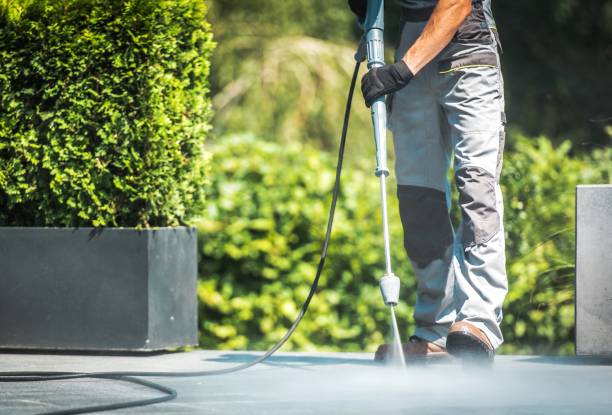 Best Graffiti Removal Services in Earlham, IA