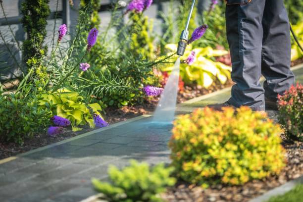 Best Gutter Cleaning and Brightening in Earlham, IA