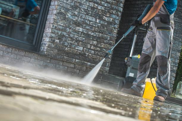 Best Roof Cleaning and Mildew Removal in Earlham, IA